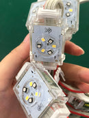 Permanent Holiday Lighting Kits 48v