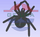 Preying Spider - Gilbert Engineering USA