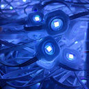 Permanent Holiday Lighting 36v - 100 Foot (72 Lights)