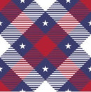 IMPRESSION Star 24 - 200 Node / Red White n Blue Plaid