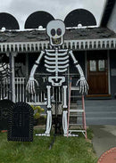 IMPRESSION Skel-E-Ton