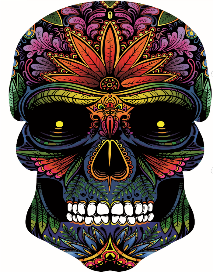 ARTMATIC ft. Diggy-MO' Skull Raglan Mサイズ ARTMATIC ft. Diggy-MO' Skull Raglan Mサイズ Skull - メルカリ